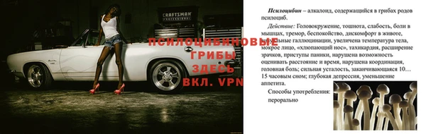каннабис Аркадак