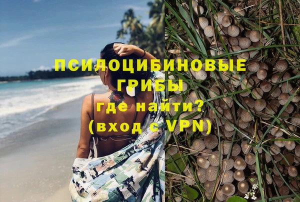 твердый Алексин