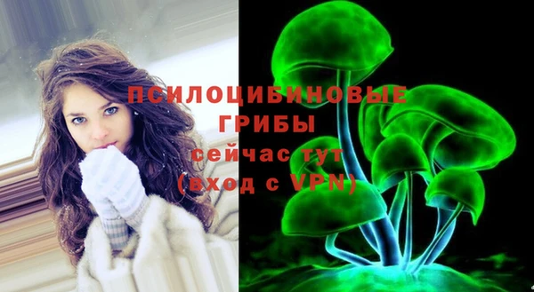 твердый Алексин
