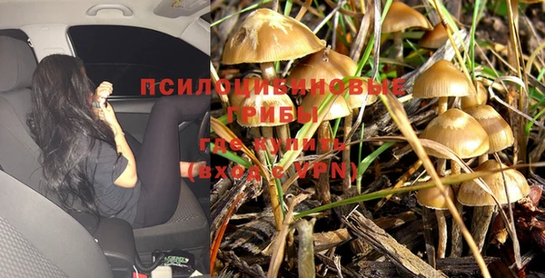 прущая мука Алексеевка