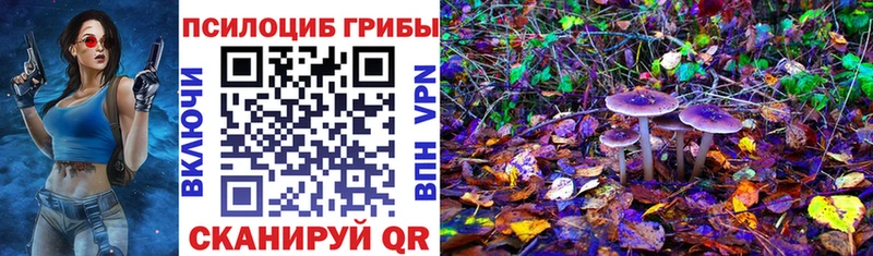 Галлюциногенные грибы MAGIC MUSHROOMS  Байкальск 